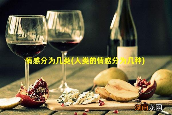 人类的情感分为几种 情感分为几类