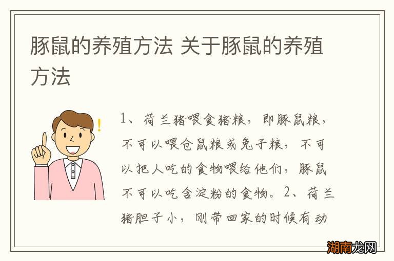 豚鼠的养殖方法 关于豚鼠的养殖方法