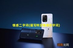 描写特定情感的字词 情感二字词