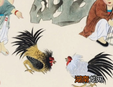 在古代斗鸡是如何流行起来的？经历了什么样的发展？