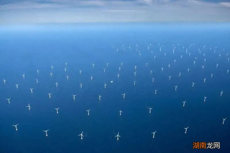 南极洲变“绿”了！冰雪皑皑的景象正在加速消失丨环境小喇叭