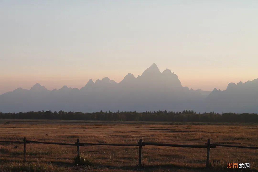 世界上最著名的熊妈妈,遗憾死于路杀