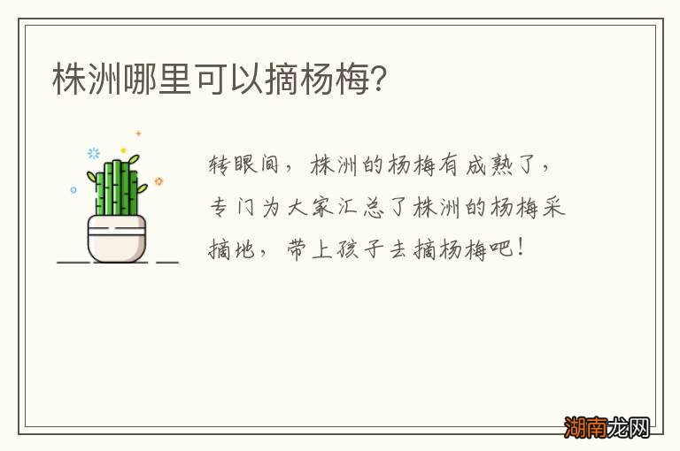 株洲哪里可以摘杨梅?