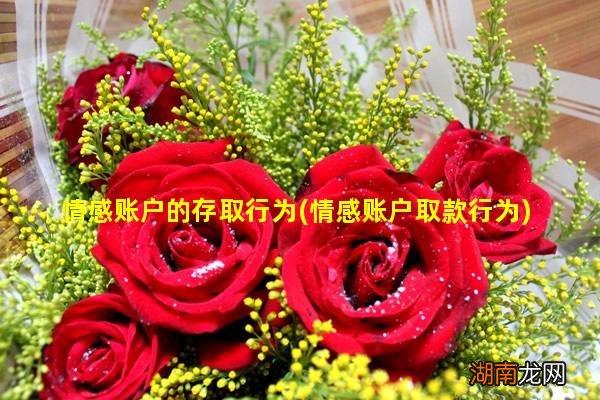 情感账户取款行为 情感账户的存取行为