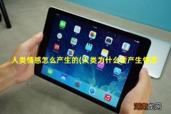 人类为什么会产生情感 人类情感怎么产生的