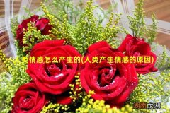 人类产生情感的原因 人类情感怎么产生的