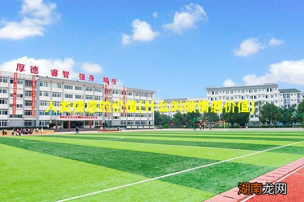 什么叫做情感价值 人类情感的价值