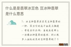 什么是是翡翠冰豆色 豆冰种翡翠是什么意思