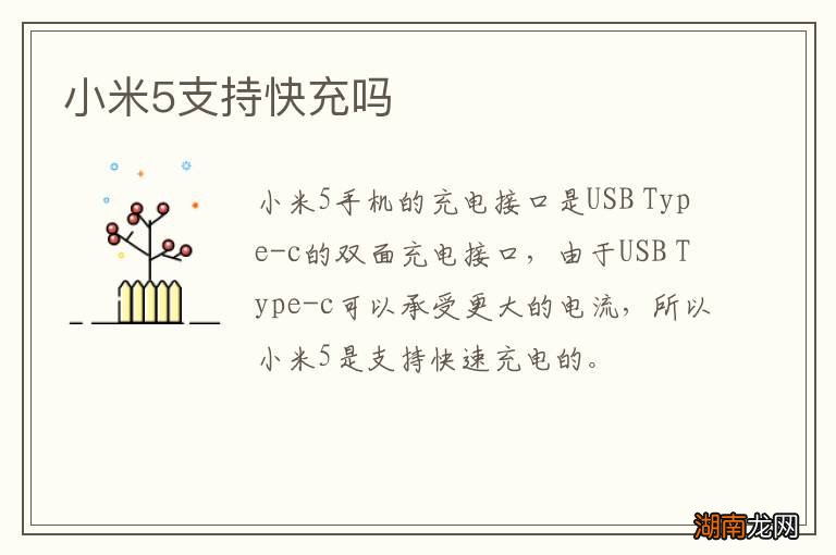 小米5支持快充吗