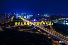 情感与形式 情感有几种形式