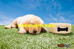 边塞诗五种情感 五种情感