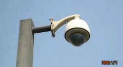 一般电子眼违章几天可以查到