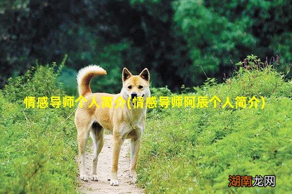 情感导师阿辰个人简介 情感导师个人简介