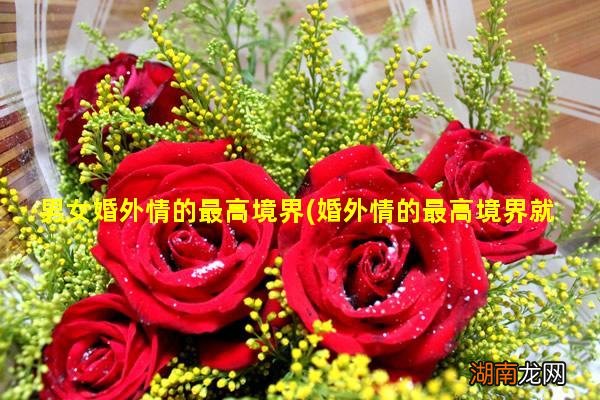 婚外情的最高境界就是成为知己 男女婚外情的最高境界