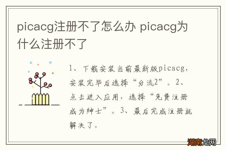 picacg注册不了怎么办 picacg为什么注册不了