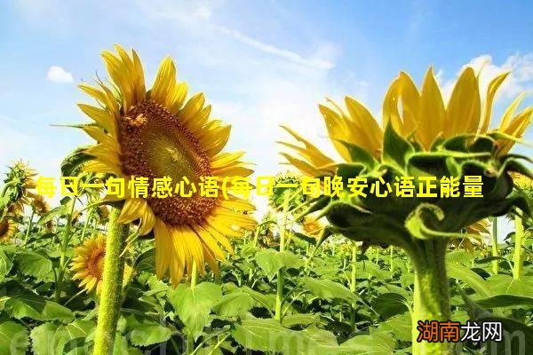 每日一句晚安心语正能量 每日一句情感心语