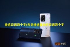 形容情感复杂的词语两个字 情感词语两个字