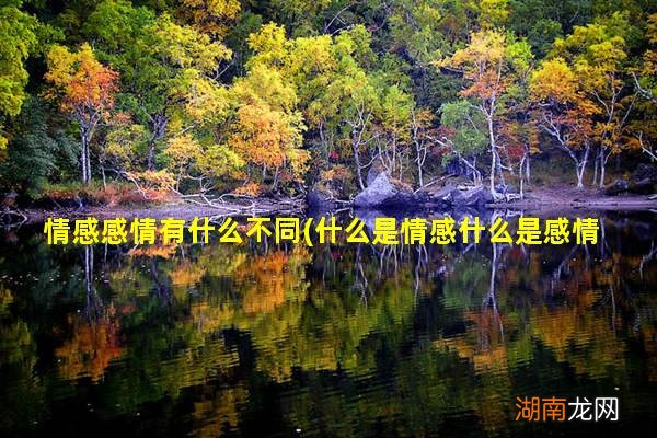 什么是情感什么是感情 情感感情有什么不同