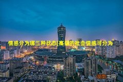 高级的社会情感可分为三种 情感分为哪三种状态