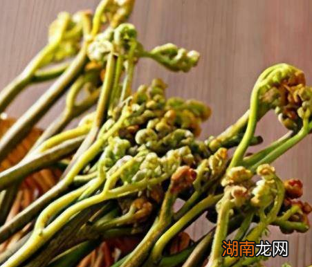 古代穷人平常都会吃些什么 古装剧演的都是真的吗