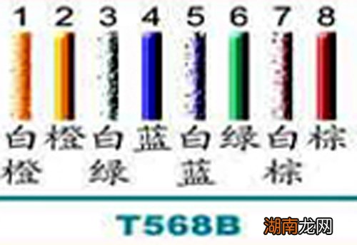 网线接线顺序 网线怎么接线