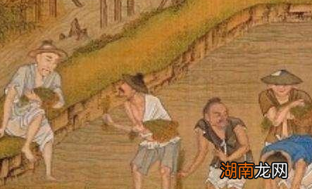 古代民以食为天 唐朝时期的古人是如何储备粮食的