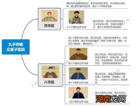 除了皇四子继位外,其他参与九子夺嫡的皇子是什么结局?