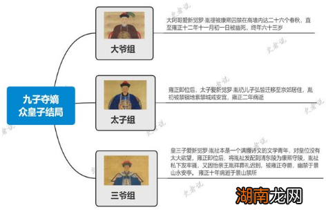 除了皇四子继位外,其他参与九子夺嫡的皇子是什么结局?