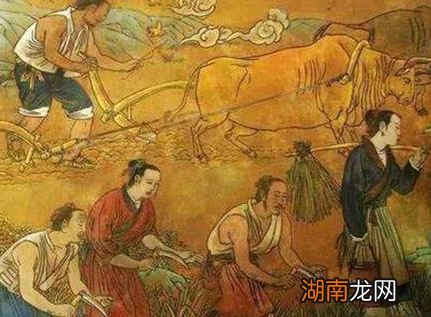古代粮食不够吃 古人为什么不去开荒种地