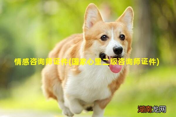 国家心里二级咨询师证件 情感咨询师证件