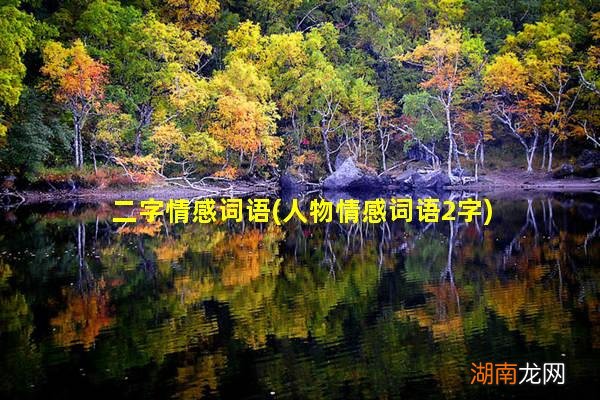 人物情感词语2字 二字情感词语