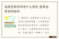 油青翡翠变种是什么意思 翡翠油青变种啥样