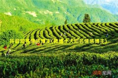 微博十大知名情感博主 抖音知名情感博主