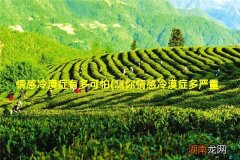 测你情感冷漠症多严重 情感冷漠症有多可怕