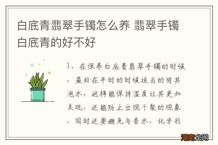 白底青翡翠手镯怎么养 翡翠手镯白底青的好不好