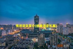 情感语录长篇 情感语录简介