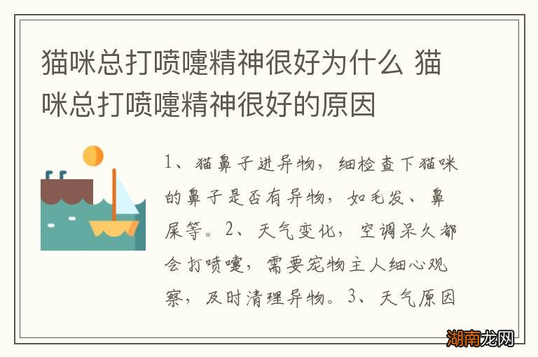 猫咪总打喷嚏精神很好为什么 猫咪总打喷嚏精神很好的原因