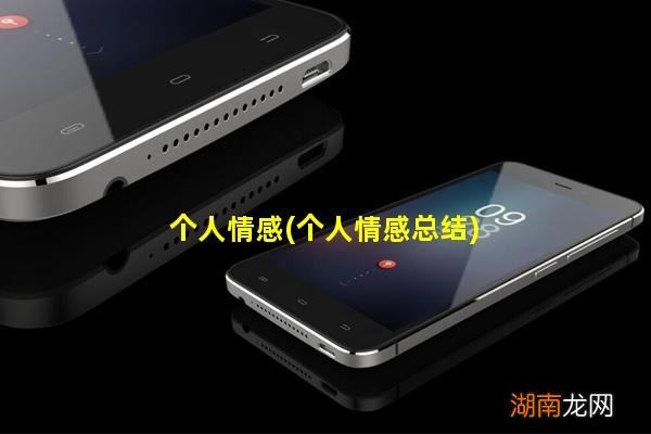 个人情感总结 个人情感