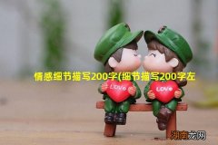 细节描写200字左右 情感细节描写200字