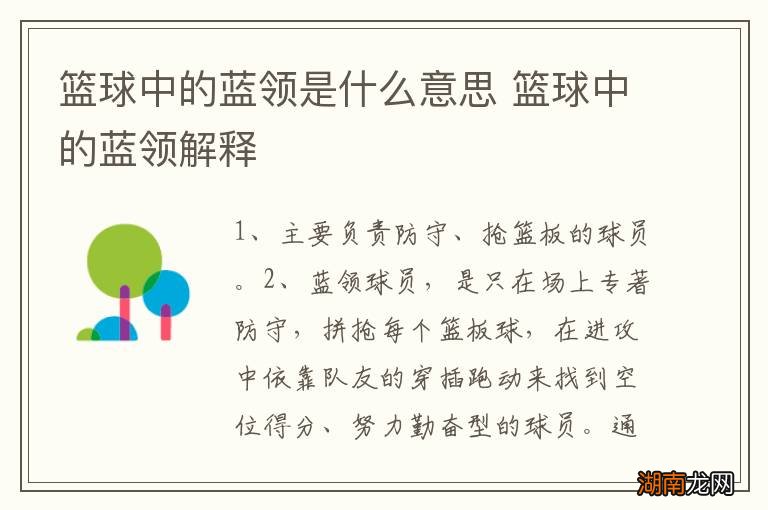 篮球中的蓝领是什么意思 篮球中的蓝领解释