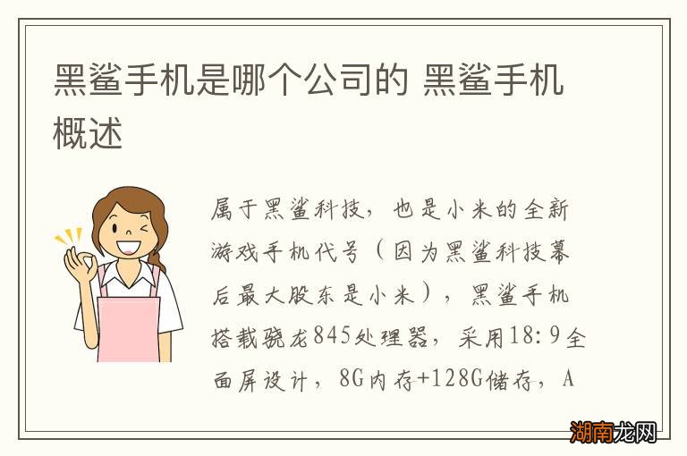 黑鲨手机是哪个公司的 黑鲨手机概述