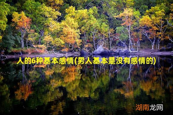 男人基本是没有感情的 人的6种基本感情