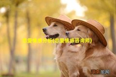 恋爱情感咨询师 恋爱情感分析