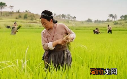 都说古代穿的十分保守 古人夏天都是怎么穿衣的