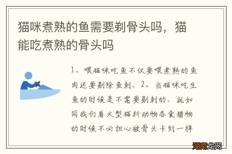 猫咪煮熟的鱼需要剃骨头吗,猫能吃煮熟的骨头吗