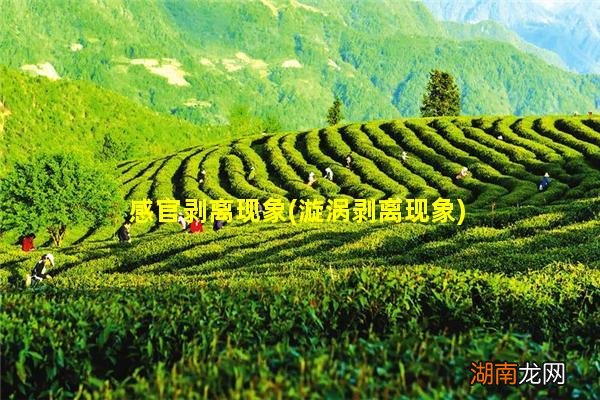 漩涡剥离现象 感官剥离现象