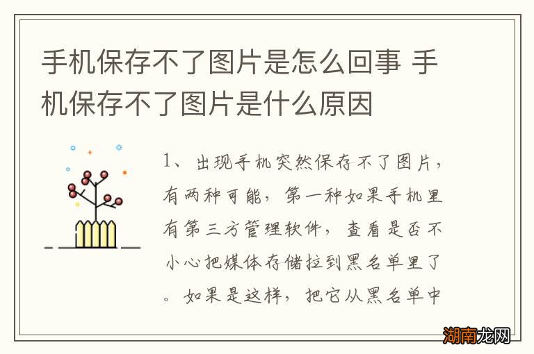 手机保存不了图片是怎么回事 手机保存不了图片是什么原因