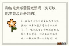 狗可以吃生黄瓜还是熟的 狗能吃黄瓜需要煮熟吗