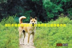 挽回老公感情最有效的短信 挽回感情最有效的文字