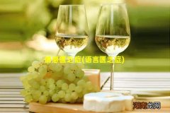 语言匮乏症 情感匮乏症